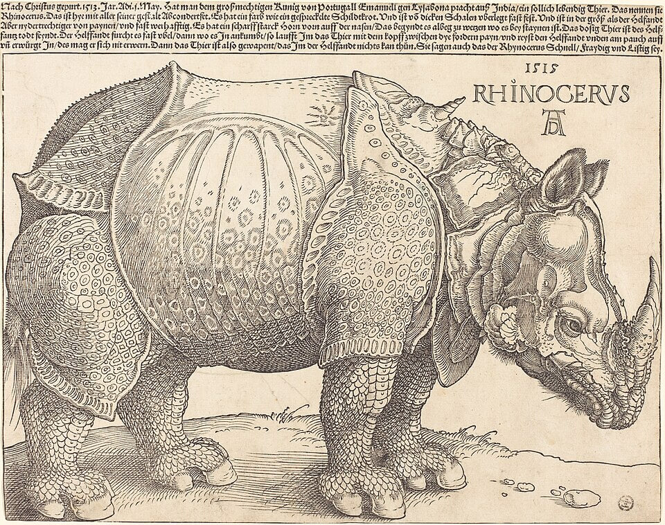 알브레히트 뒤러, 코뿔소, 1515, 목판화
